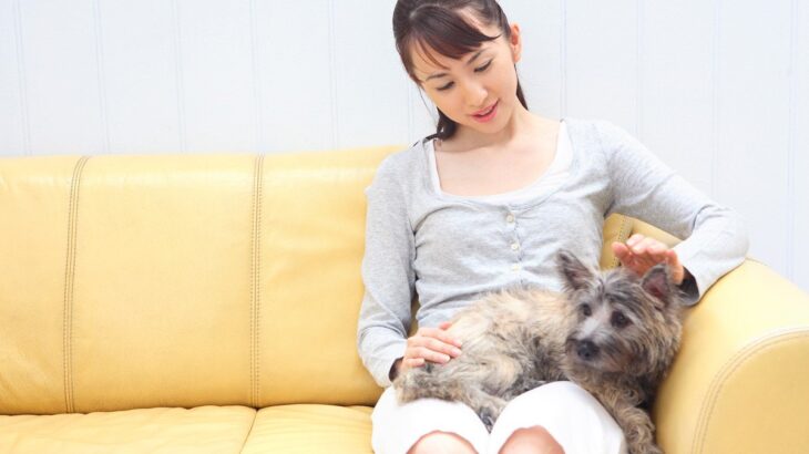 犬が『飼い主の近くに来る』心理5つ　愛犬が傍に寄ってくる理由や仲を深めるためにすべきことまで(ブログ)