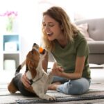 犬を喜ばせる『遊び方』4選　室内でも簡単にできる遊びや楽しませるポイントまで(ブログ)