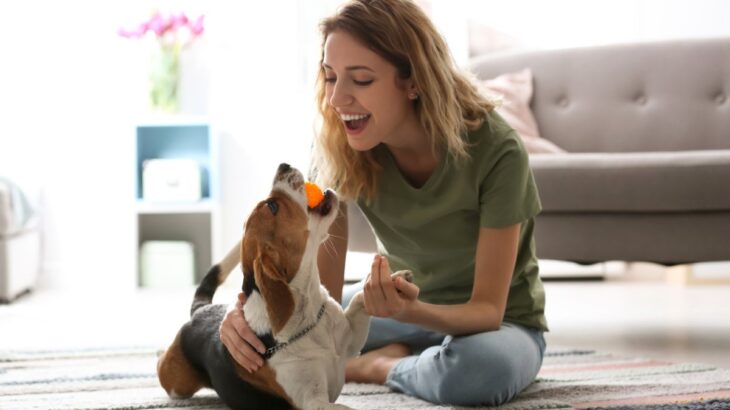 犬を喜ばせる『遊び方』4選　室内でも簡単にできる遊びや楽しませるポイントまで(ブログ)