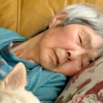 『92歳のおばあちゃん』と『12歳の老犬』がふたりで仲良くお昼寝→いつまでも見ていたい『日常の1枚』に反響「素敵」「幸せな気持ちになる」(ブログ)