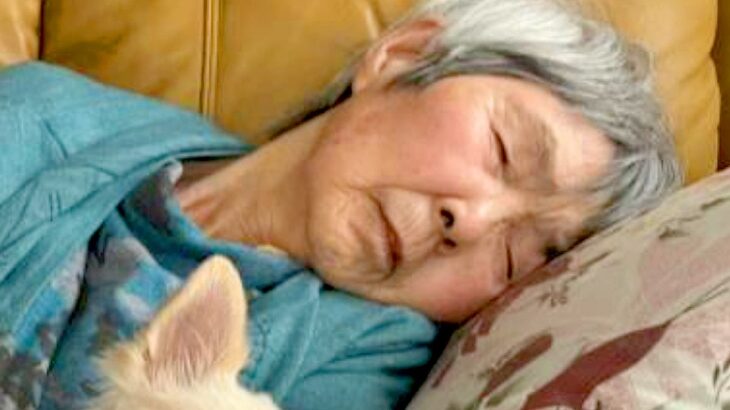 『92歳のおばあちゃん』と『12歳の老犬』がふたりで仲良くお昼寝→いつまでも見ていたい『日常の1枚』に反響「素敵」「幸せな気持ちになる」(ブログ)