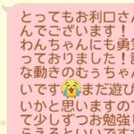 保育園に初登園した子犬→先生からLINEで届いた『中間報告』が泣けると230万表示「なんか涙出てきた…」「独特な誘い方の動きｗ」と反響(ブログ)