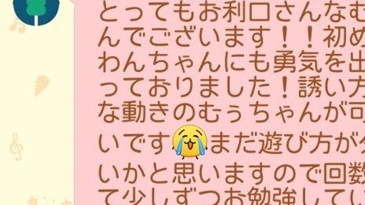 保育園に初登園した子犬→先生からLINEで届いた『中間報告』が泣けると230万表示「なんか涙出てきた…」「独特な誘い方の動きｗ」と反響(ブログ)