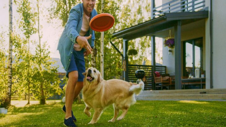 犬と『遊びすぎる』リスクとは？愛犬の体にかかる負担や遊び方のポイントまで(ブログ)