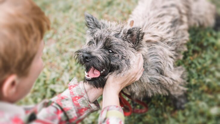犬の『幸福度』をあげる方法５選　日々の暮らしに幸せを感じているワンコの共通点とは？(ブログ)