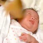 赤ちゃんが、生まれてからずっと『犬のしっぽを顔に当てられ続けた』結果→半年後…洗礼を受け入れた光景が52万再生「慣れてて草」「可愛い」(ブログ)