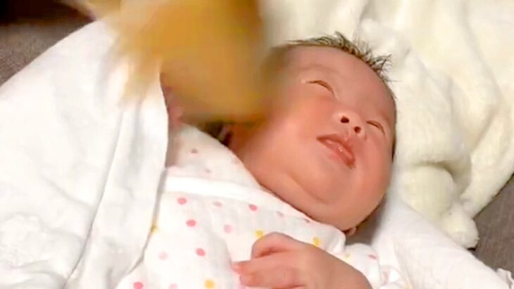 赤ちゃんが、生まれてからずっと『犬のしっぽを顔に当てられ続けた』結果→半年後…洗礼を受け入れた光景が52万再生「慣れてて草」「可愛い」(ブログ)