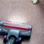 犬の抜け毛を取るため、掃除機をかけた結果→怒るに怒れない『まさかの光景』が10万表示「思ったより入念で草」「許すしかないｗｗ」と爆笑(ブログ)