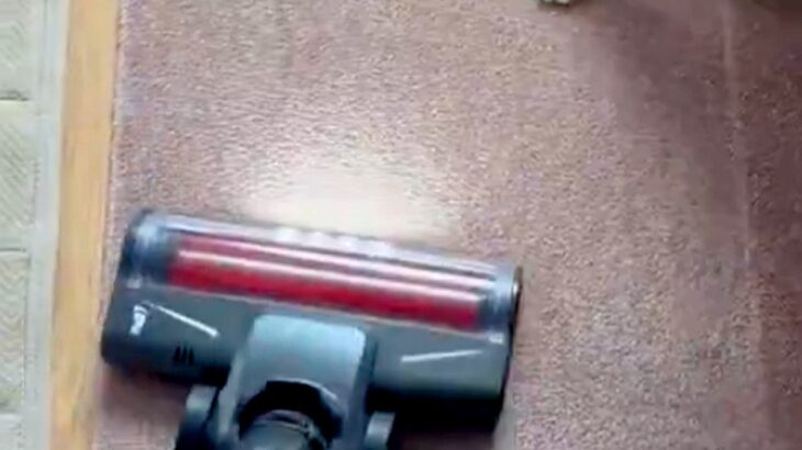 犬の抜け毛を取るため、掃除機をかけた結果→怒るに怒れない『まさかの光景』が10万表示「思ったより入念で草」「許すしかないｗｗ」と爆笑(ブログ)