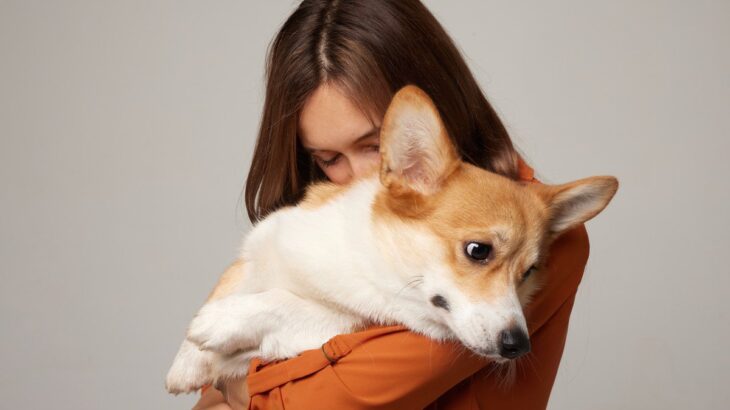 犬が『抱っこを嫌がっている』ときに見せるサイン5つ　慣れさせる方法はあるの？(ブログ)