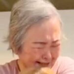 15歳の愛犬を亡くし、悲しむおばあちゃん→『そっくりなぬいぐるみ』を贈ると…感動的な『涙の再会』が32万再生「美しい光景」「泣いちゃう」(ブログ)