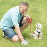 犬のウンチで体調を判断する『4つの方法』健康状態の見極め方や病気のサインまで(ブログ)
