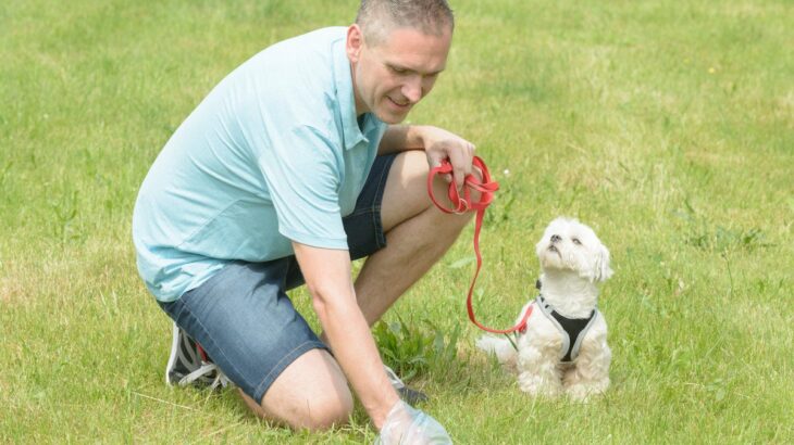犬のウンチで体調を判断する『4つの方法』健康状態の見極め方や病気のサインまで(ブログ)