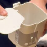ゴミ箱を壊した犬→『これは何？』と事情聴取をした結果…あまりにも人間すぎる『表情』に反響「100点満点の反応ｗ」「分かってる顔で草」(ブログ)
