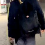 仕事帰り、お迎えに来た柴犬が歩かなくなってしまった結果→思わず二度見する『衝撃の帰宅スタイル』が127万再生「ポケモンで草」「癖がｗ」(ブログ)