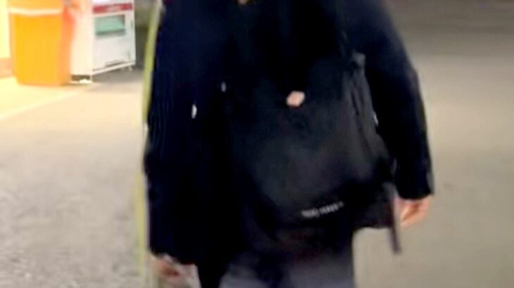 仕事帰り、お迎えに来た柴犬が歩かなくなってしまった結果→思わず二度見する『衝撃の帰宅スタイル』が127万再生「ポケモンで草」「癖がｗ」(ブログ)