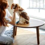 『ストレスを感じやすい犬』の共通点4選　繊細な性格をしているワンコの特徴とは？(ブログ)