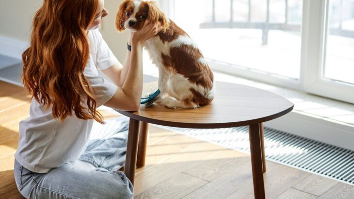 『ストレスを感じやすい犬』の共通点4選　繊細な性格をしているワンコの特徴とは？(ブログ)