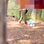 『ママっ子な犬』とドッグランへ→内緒で隠れてみたら『ママがいない』と気付いて…『発見した瞬間』が尊すぎると反響「愛おしい」「優しい子」(ブログ)