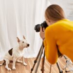 犬に『カメラのフラッシュ』危険な理由4つ　愛犬の目に与える悪影響とは？(ブログ)
