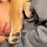 小学生の男の子と犬→『やけに静かだな』と思い、見に行ってみたら…とんでもなく尊い『添い寝の仕方』が22万再生「似すぎｗ」「もはや兄弟」(ブログ)