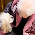 足腰の悪いおばあちゃんが『散歩に行こうと椅子から立った』結果→犬が心配をして…尊すぎる『ボディガード』の光景に称賛「相棒だ」「お利口」(ブログ)