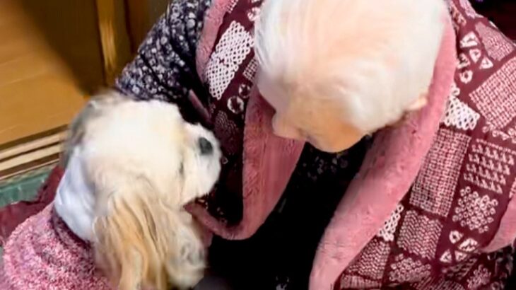 足腰の悪いおばあちゃんが『散歩に行こうと椅子から立った』結果→犬が心配をして…尊すぎる『ボディガード』の光景に称賛「相棒だ」「お利口」(ブログ)