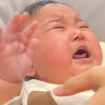赤ちゃんが泣いていると『2頭のシベリアンハスキー』が近づいてきて…ベビーシッターのような光景に感動「なんて可愛い関係」「頼もしすぎる」(ブログ)