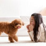 犬が持っている『驚きの能力』7つ　意外と知られていない習性や暮らしの中で役立つスキルとは？(ブログ)