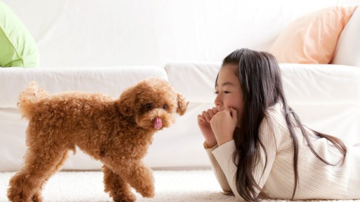 犬が持っている『驚きの能力』7つ　意外と知られていない習性や暮らしの中で役立つスキルとは？(ブログ)