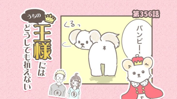 うちの王様にはどうしても抗えない【第356話】「撮りにくいポーズ」(ブログ)