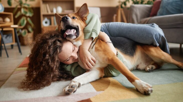 犬が嫌がる『スキンシップ』５選　愛犬が不快に感じる触り方や正しい接し方まで(ブログ)