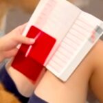 英検の試験を翌日に控えた女の子→犬たちが集まってきて…『絶対に集中できない光景』が12万再生「悟りの境地ｗｗ」「天国やん」「羨ましい」(ブログ)
