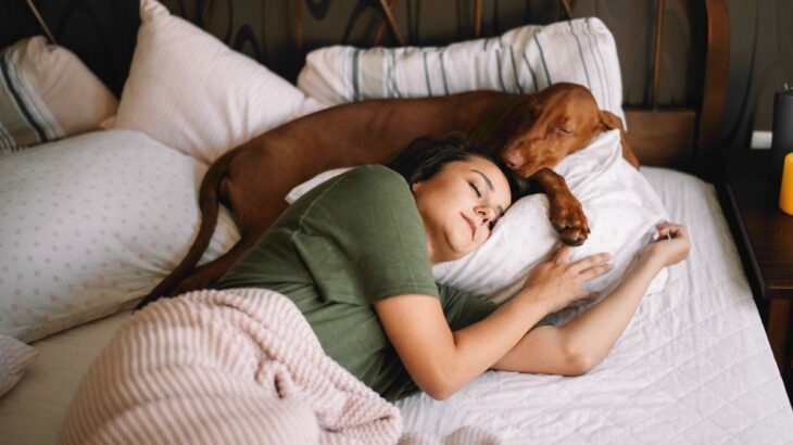 犬が『飼い主の近くで寝る』心理4選　眠る位置から分かる愛犬の本音や注意点まで解説(ブログ)