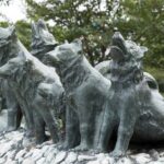 樺太犬｜犬種の特徴と性格、有名な理由や現在の状況まで解説(ブログ)