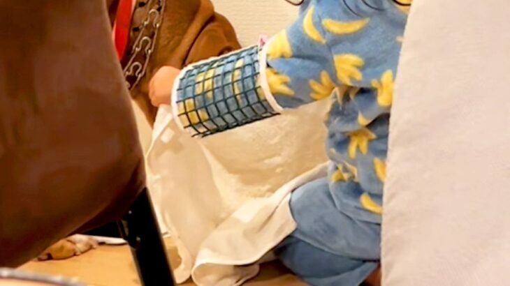 2歳の女の子が、なぜか『水を飲んでいる犬』に近付いて…気遣い上手すぎる『まさかの光景』が尊いと78万再生「小さなお母さん」「優しい世界」(ブログ)