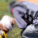 キャンプ場で『川に魚がいるか』を見ていたら、犬も寄ってきて…人間の子どものような『可愛すぎる光景』が10万再生「小学生みたいｗ」「仲良し」(ブログ)