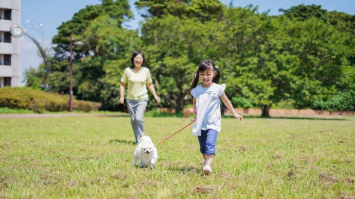 小型犬に必要な『一日の散歩量』とは？毎日行くべきなの？適切な頻度まで(ブログ)