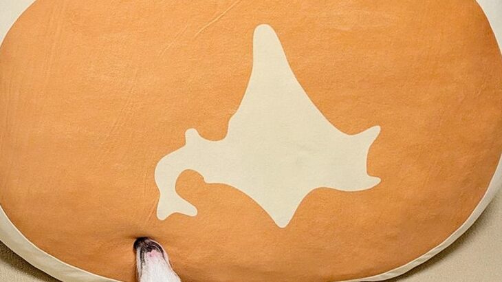 洗い物が終わり、ふと犬を見てみた結果→『北海道のクッション』と寝転がり…奇跡的な『まさかの瞬間』に2万いいね「完成度ｗ」「青森の角度ｗ」(ブログ)