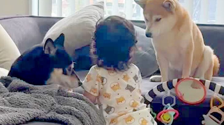 まだ『パパママ』を言えない赤ちゃん→犬と一緒に育った結果…初めて口にした『まさかの言葉』が素敵すぎると反響「絶対呼んでる」「ほっこり」(ブログ)