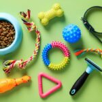飼い主がつい買ってしまう『犬用品』3つ　後悔しないために事前に知っておくべきことまで(ブログ)