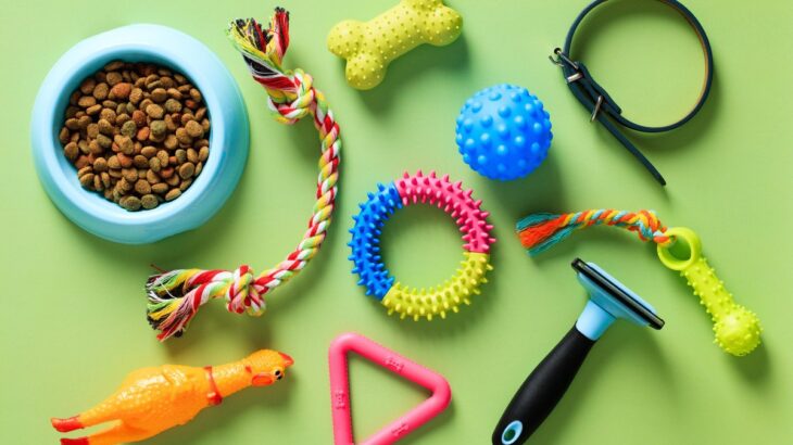 飼い主がつい買ってしまう『犬用品』3つ　後悔しないために事前に知っておくべきことまで(ブログ)