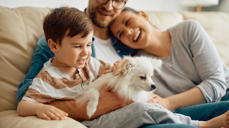 犬を飼い始めたばかりの人がやりがちな『タブー行為』4つ　初日に必ずやるべき準備とは？(ブログ)