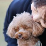 犬がみせる『ツンデレ』すぎる行動3つ　冷たい態度をとってきたときの対処法とは？(ブログ)