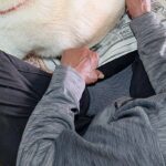 新聞を読んでいる父→犬が『撫でてほしい』と近づいてきて…自分勝手な『まさかの方法』に反響「かわいすぎるｗｗ」「うちの犬もやってました」(ブログ)