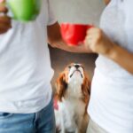 犬が『嫉妬』しているときにみせる行動6選　どんなことにヤキモチを焼いてしまうの？(ブログ)
