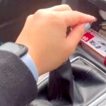 車で出かけようとする女性→シフトレバーを握ると『助手席に乗った大型犬』が…『まさかの行動』が30万再生「妨害してて草」「可愛いたまらん」(ブログ)