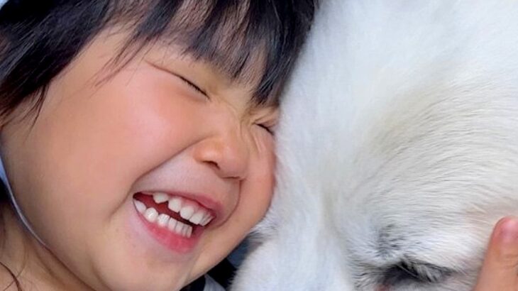3歳の女の子が保育園に行くと、決まって寂しくなってしまう超大型犬→お迎えにいくと…相思相愛な『再会の瞬間』に絶賛「なんて幸せ」「感動的」(ブログ)