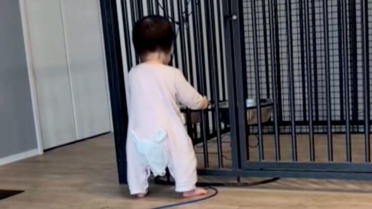 体重差が50キロもある『小さな女の子と超大型犬』→心配でいつも様子を見ていて…『相思相愛な光景』に反響「優しいお兄ちゃん」「仲良し」(ブログ)