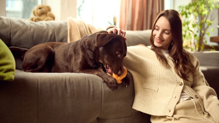 犬が『新しいモノ』を嫌がる心理５選　ベッドやおもちゃを与えても使ってくれない理由とは？(ブログ)